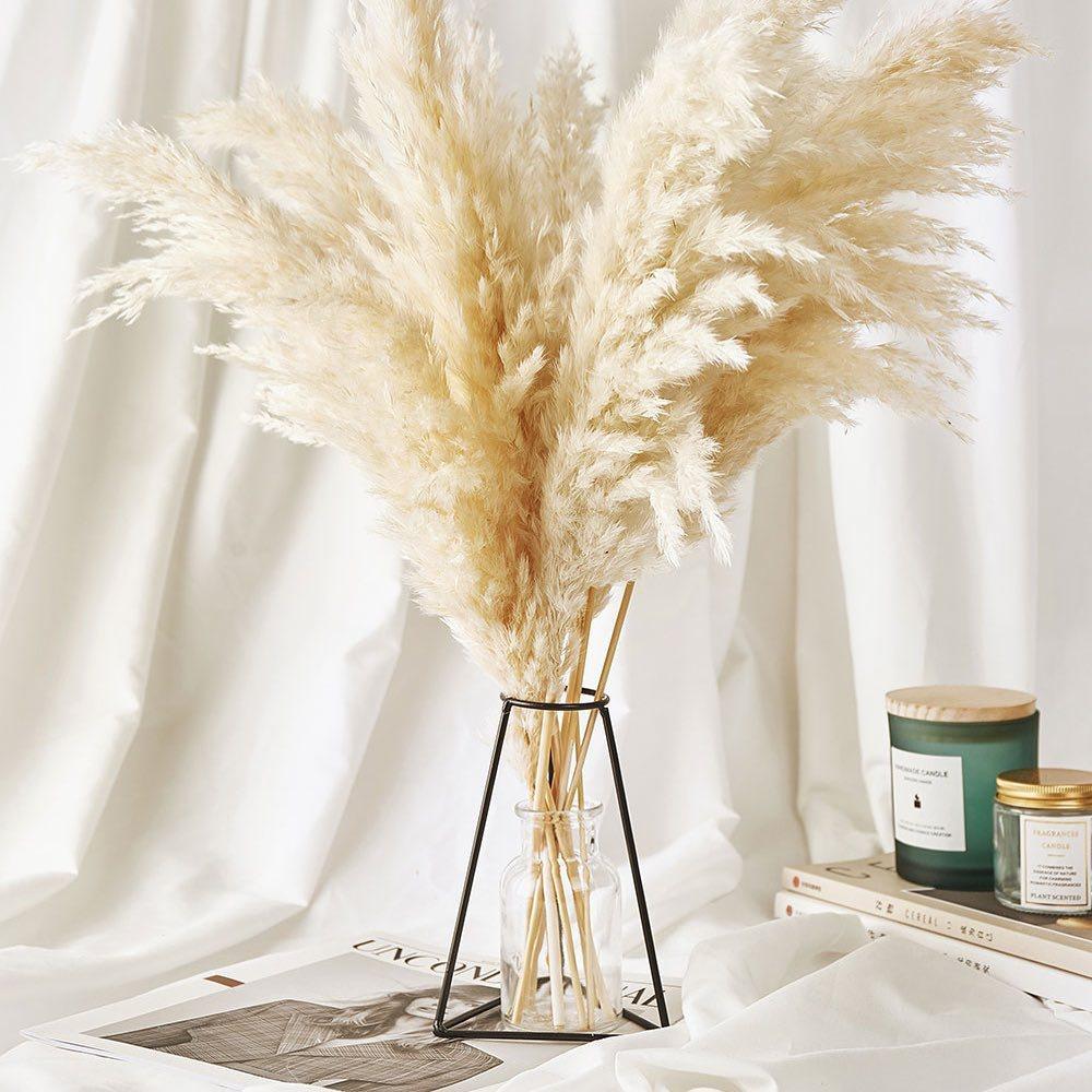 5/10/20 шт., белый тростник, пампасная трава, колосья пшеницы, кроличий хвост, трава, натуральные сушеные цветы, букет, свадебное украшение, сено для вечеринки, богемный дом