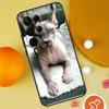 Sphynx Sphinx Cat Case For Samsung Galaxy S25 Ultra S24 S23 S22 S21 Ultra S9 S10 S20 Plus S24 FE Funda Cover