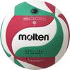Volleyball Certification Ball Molten Fristatec 4 V4M5000 No.