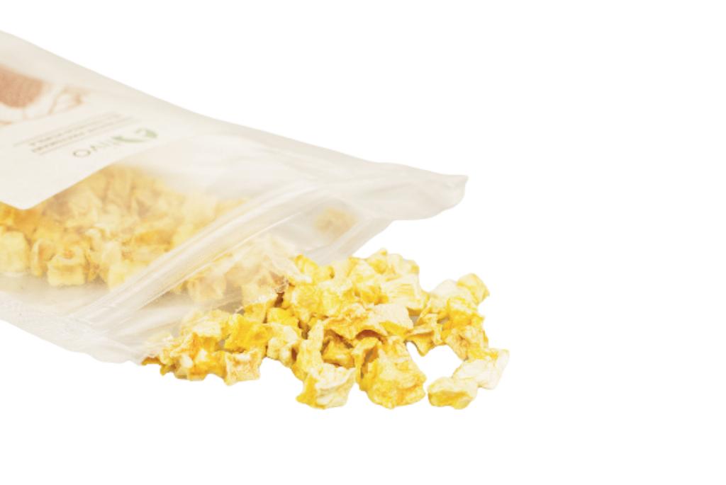 Chrupiąca Papaja Liofilizowana Dla Papug - Naturalny Przysmak Owocowy | 20 G