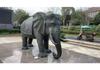 Large Outdoor Bronze Elephant Sculpture for Parks and Gardens