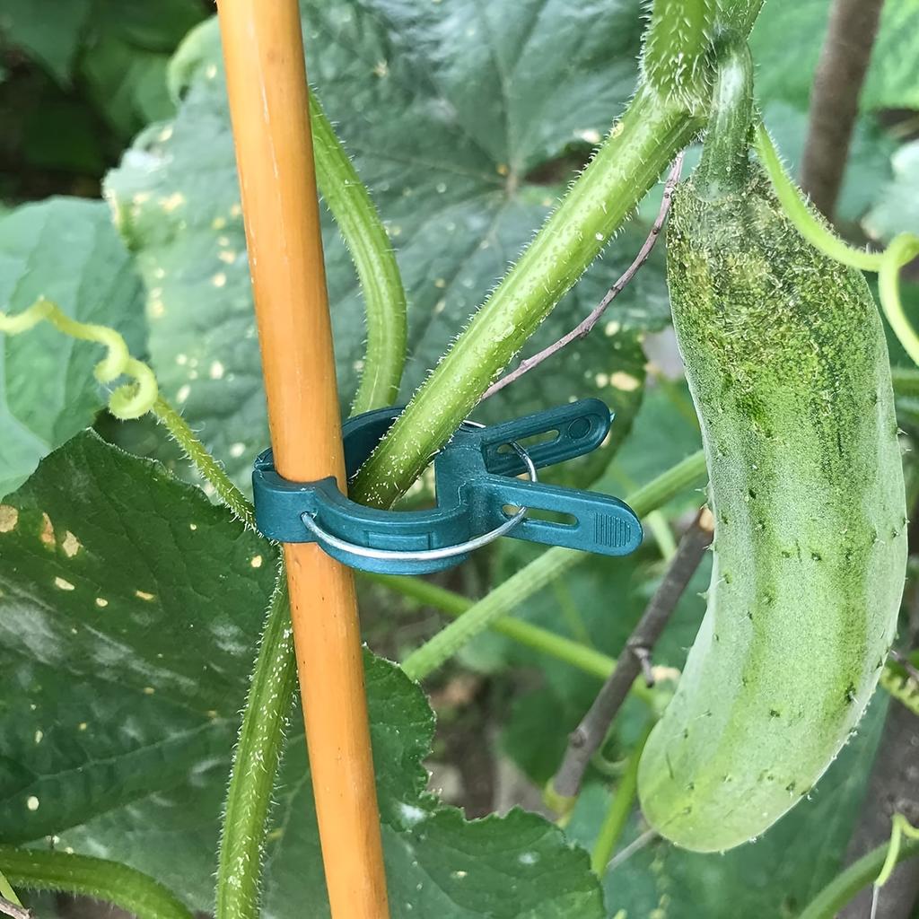20 шт. регулируемых зажимов для растений - многоразовая садовая опора для цветов, виноградной лозы, овощей и томатов - прочный пластик, основные садовые инструменты