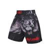 Men's 3D Print Sports Shorts Thin Breathable Gym Training Running Casual Loose Fit Basketball Fight Shorts