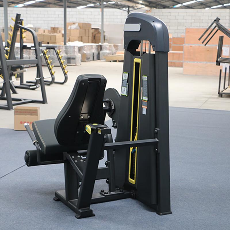 WEZHO Commercial Seated Leg Extension Machine CN plug (adapter included)