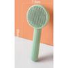 HiJB Pain-free Pet One-touch Brush, Mint, 1 Piece, Korean Pet Shampoo