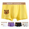 Men Boxers Elastic Mid Waist Letter Cartoon Bear Print Soft Breathable U Convex Quick Dry Moisture-wicking Firm Stitching Men Underpants Underwear