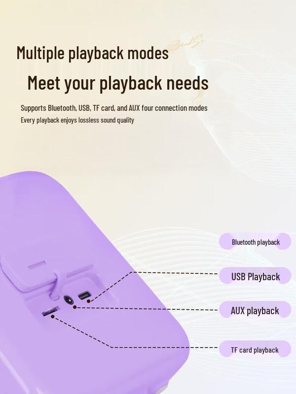 Dianyin K-Song Bluetooth Speaker with Dual Microphones