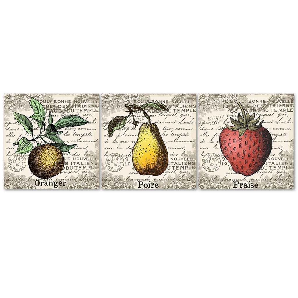 Набор из трех картин печать на холсте Ретро Фрукты