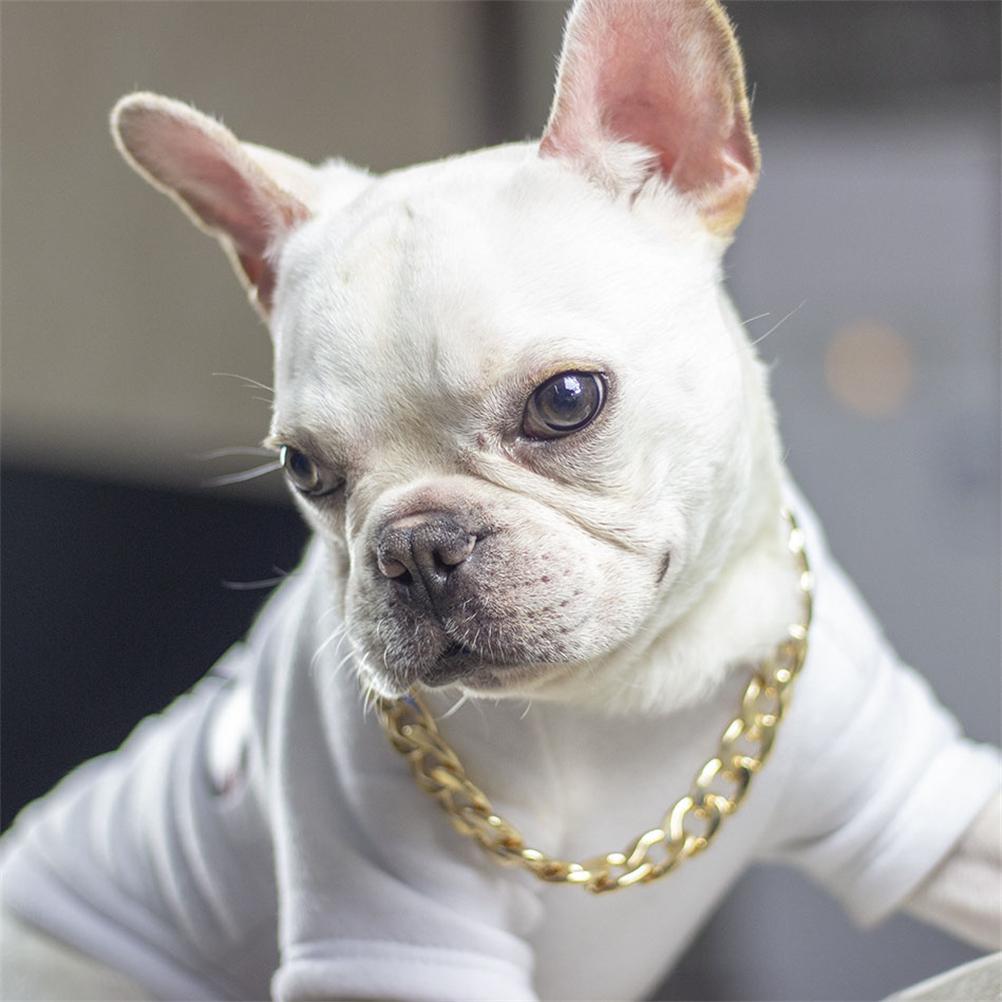 Цепочка для собак, ошейник из металла и золота, аксессуары для домашних животных на четыре сезона