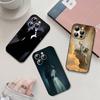 Черный чехол для телефона Court M-mists And Furys, подходящий для iPhone 17, 16, 15, 11, 13, 14 Pro Max, Plus, X, XR, XS Max, 13 Mini