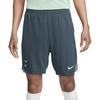 Мужские спортивные штаны для футбола Dri Fit Цвет: Faded Spruce/Bicoastal Color/Enamel Green FQ2426-359