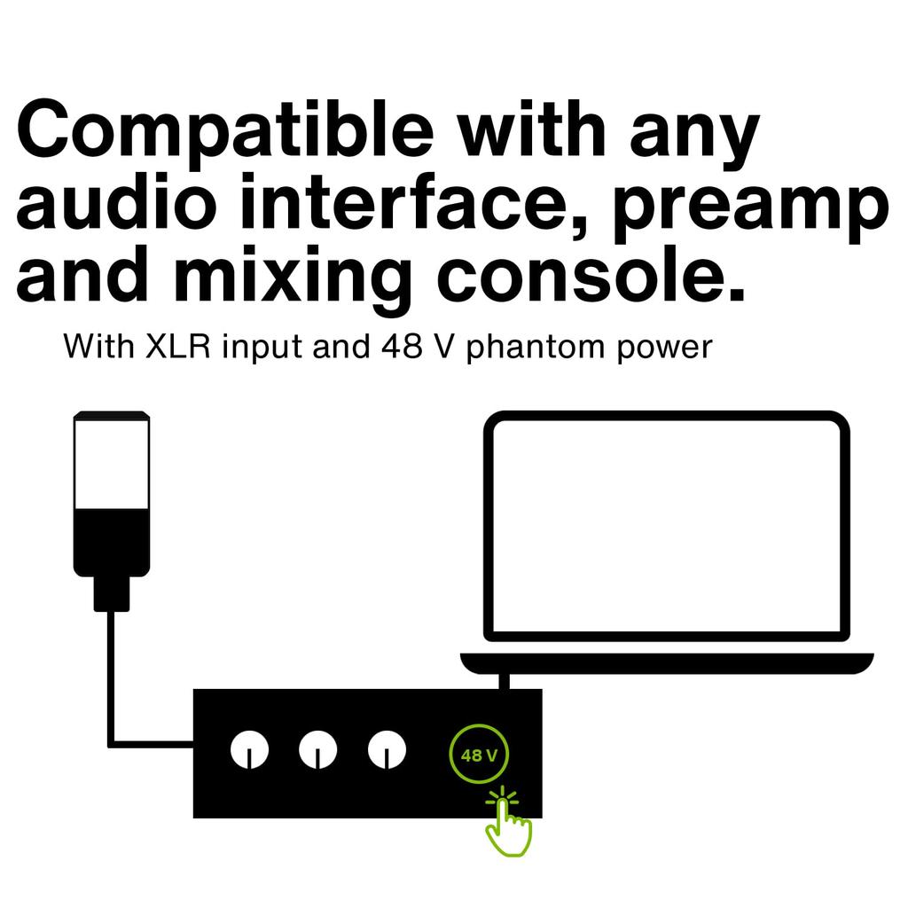 LEWITT LCT 440 PURE Condenser Microphone Large Diaphragm Unidirectional Vocal Instrument Recording Distribution Pop Filter Included