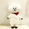 Cartoon BTS Dolls BT21 Bangtan Boys Plush Toys Korea Stars TATA Peluche VAN COOKY RJ CHIMMY Plushies Birthday Gift Girl Child