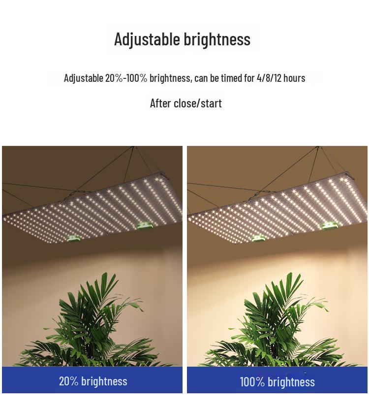 120 Вт Таймируемое диммирование Квантовая доска Лампа для растений и 150 Вт Полный спектр Лампа для роста