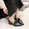 Модная весенняя новая одинарная обувь женская модная остроносая со средней высотой подъема слипоны противоскользящая и износостойкая темперамент квадратный каблук