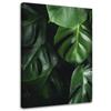 Canvas Print, Monstera Leaves