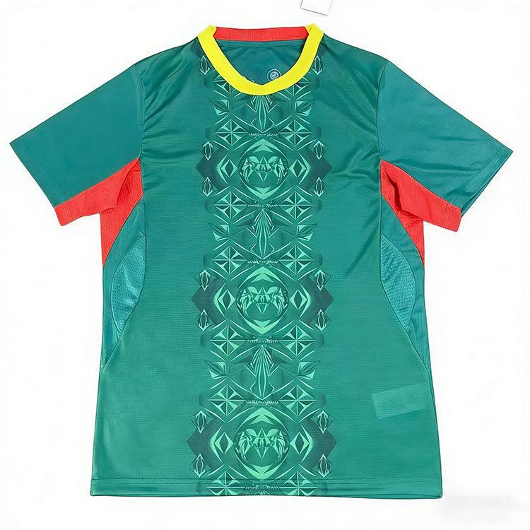 Africa Cup National Team Football Jersey Men'S Fans Thai Version High-Quality Jersey Star Print Breathable And Quick Drying