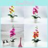 Artificial Orchid Arrangement With 3d Printing For Home Decor And Gift For Orchid Enthusiasts
