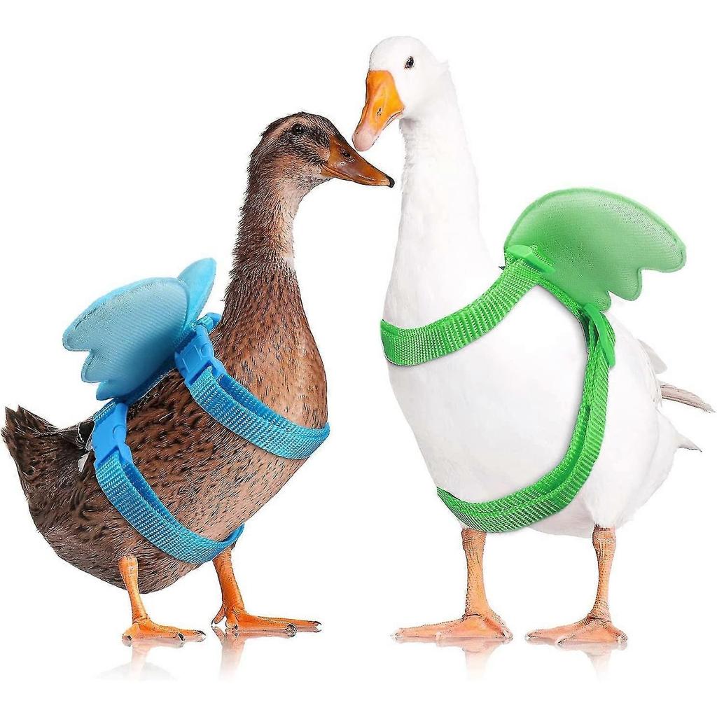 4pcs pet duck outdoor walking belt, hen skin belt, adjustable outdoor training leash, chicken, goose, hen