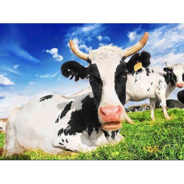 5D DIY алмазная живопись корова вышивка крестиком полная квадратная/круглая дрель Алмазная вышивка животные горный хрусталь фотографии ремесла подарок