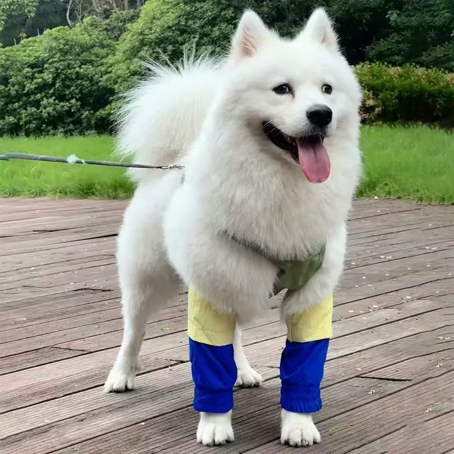 Elbow pads for pet dogs Golden Retriever Border Grazing Medium and large dogs Anti-licking and anti-wear Front leg joint protective cover Knee pads