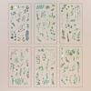 6 pcs/pack Adhesive Scrapbook Stickers Nature Transparent Flower Stickers  Hand Ledger