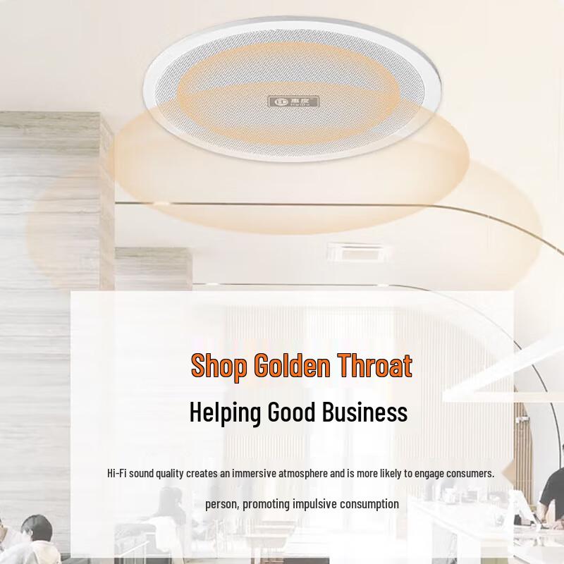 Huidu Профессиональный коаксиальный потолочный динамик TH-616