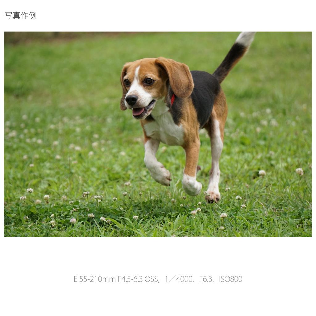 Телеобъектив SONY с переменным фокусным расстоянием E OSS только для крепления Sony E SEL55210 55-210 мм F4.5-6.3 APS-C