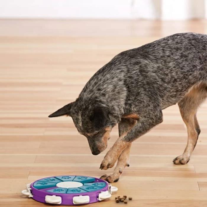 Outward hound jeu pour chiens nina ottosson dog twister vert et violet