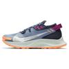 Pegasus Trail 2 Thunder Blue 2021 - CK4309-401
