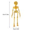 5/10PCS Mini Magnetic Skeleton Fridge Magnets with Movable Joints Skull Fridge Magnets for Refrigerator Locker Whiteboard Office