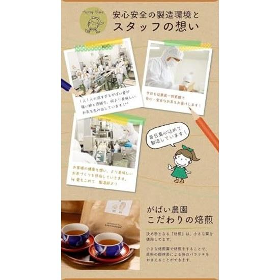 Gabai Farm Organic Cultivated Oolong Tea 3g40 bags (Oolong Tea) Domestic (Oita) JAS Chinese Health Bag Additive-Free