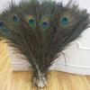 10pcs Peacock Feather Ornament Feather Decoration Feather Home Flower Arrangement Stage Costume