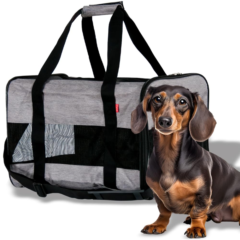 Petit Ruban Переноска для питомцев 3WAY Переноска для питомцев Сумка для переноски Чехол для переноски Серый M Бокс для поездок Кошка Собака Складной Цвет