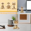 Yoga Frogs Ornament Creatives Home Decoration
