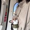 Женская толстовка с полумолнией и воротником-стойкой Винтажный овсяный цвет Свободная оверсайз Повседневный пуловер Осень Зима Уличная одежда