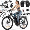 PASEBIKE C29 Electric Bike EU 250W 65Nm 48V 21Ah 25km/h 120km Range 29x2.1 E-bike
