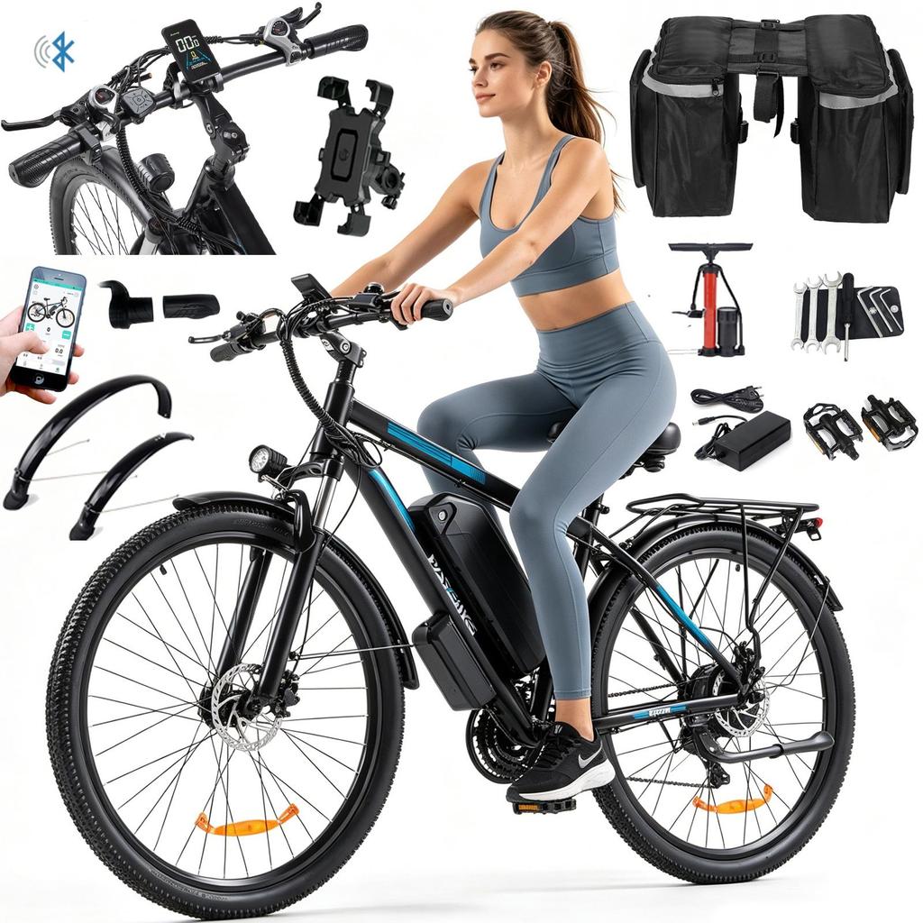 PASEBIKE C29 Electric Bike EU 250W 65Nm 48V 21Ah 25km/h 120km Range 29x2.1 E-bike