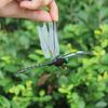3D Artificial Dragonfly Insect Repellent Outdoor Fake Dragonfly Hanging Ornament Fly Repel