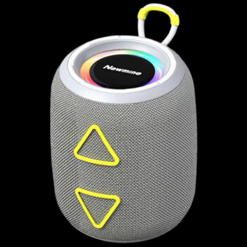 Портативная AI Bluetooth-колонка Newman BT87, китайская вилка (адаптер в комплекте)