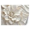 Wallpaper White Rose 3D