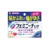 Kobayashi Pharmaceutical Feminina UP a 15г