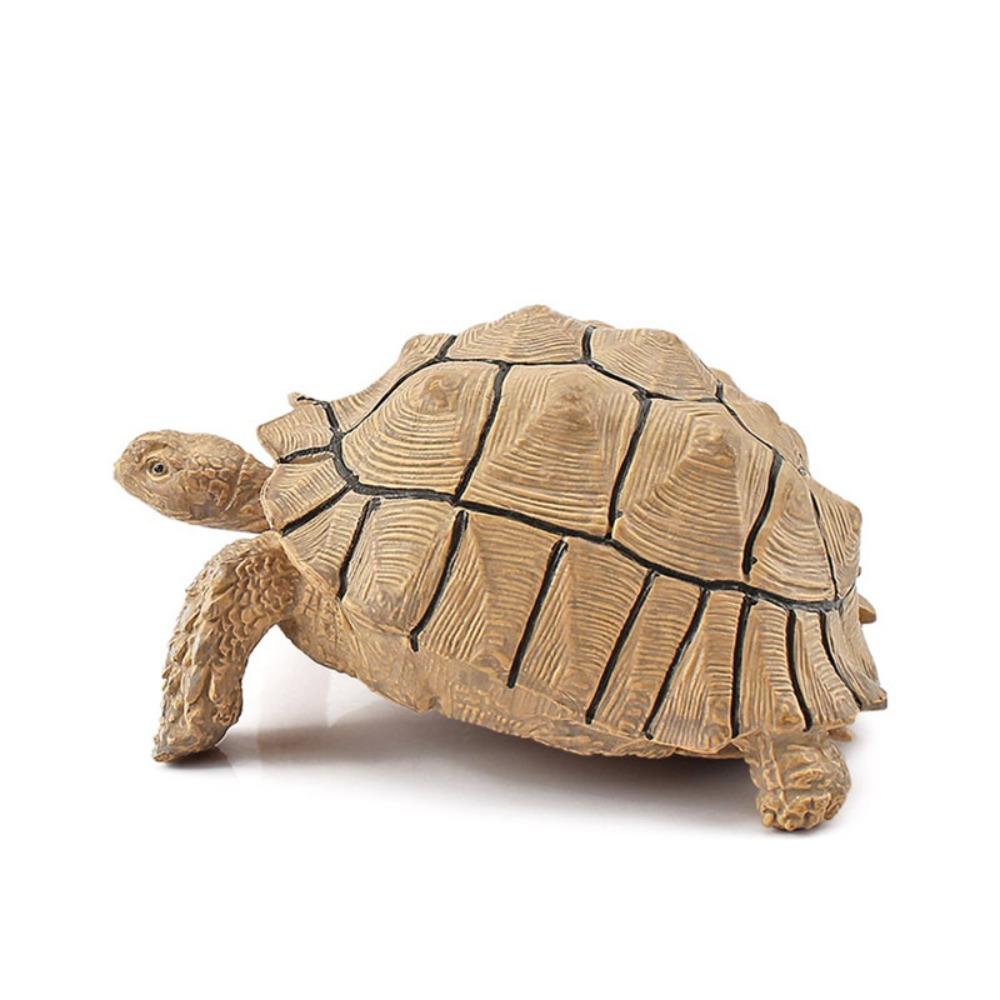 Realistic Turtle Action Figures Simulation Tortoise Animals Figurines Sea Turtle Model Collection