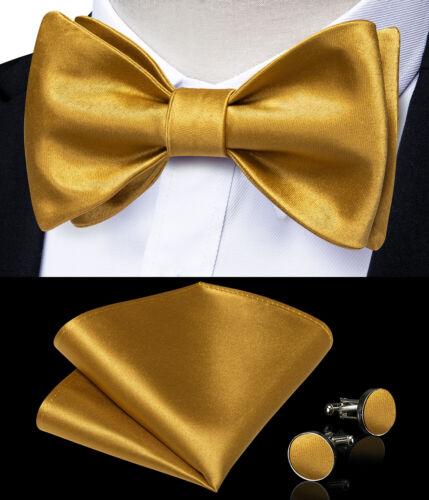 Мужской шелковый галстук-бабочка, регулируемый синий галстук-бабочка, набор запонок с цветочным принтом пейсли