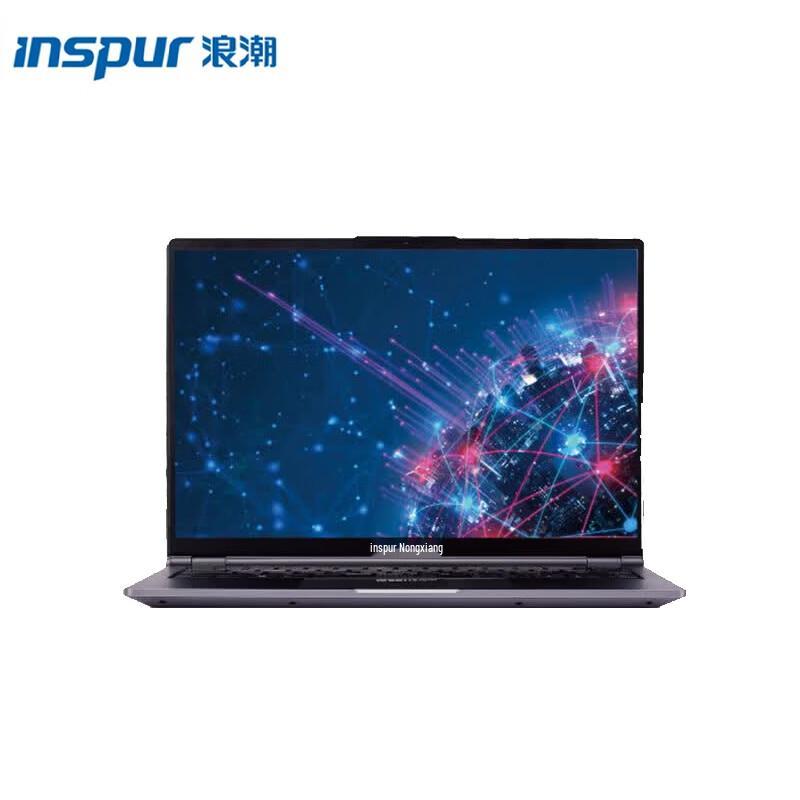 Ноутбук Inspur CP300F3 14-дюймовый Xinchuang (Китайская версия)