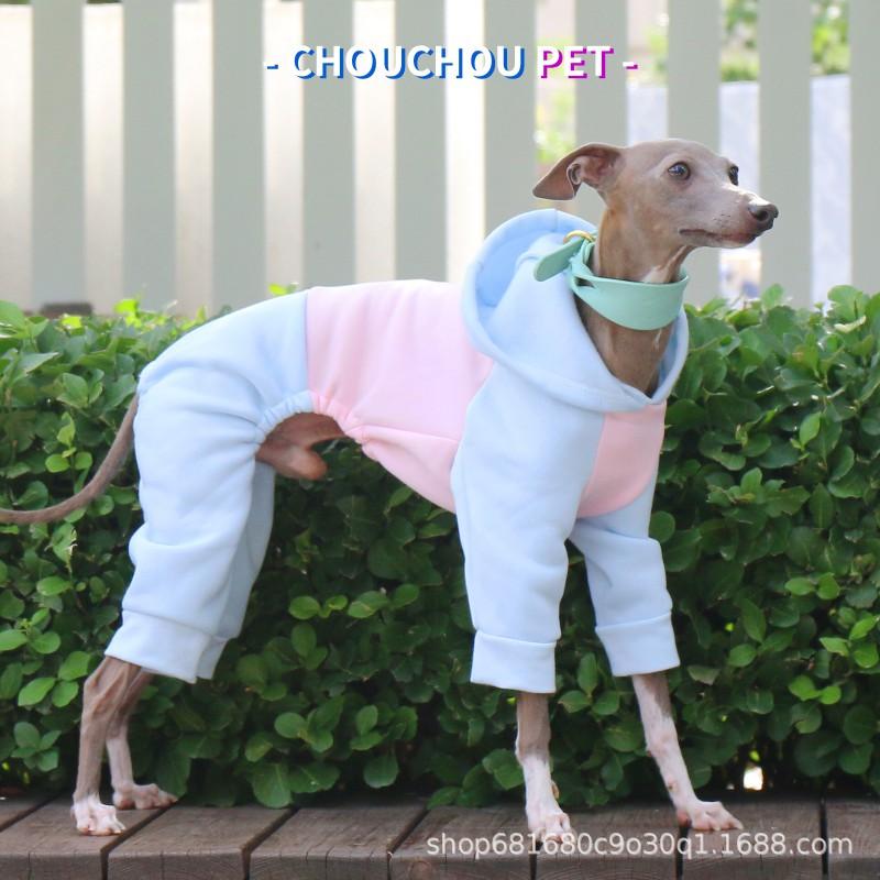 Pet Hooded Fleece Jacket Italian Greyhound Whippet Four-Legged Warm Winter Coat Blue Pink Colorblock