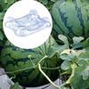 20 Pcs Melon Cradle Stackable Fruit Support Reusable Watermelon Stand Fruit Cradle Prevent Ground Rot for Cantaloupe Strawberry