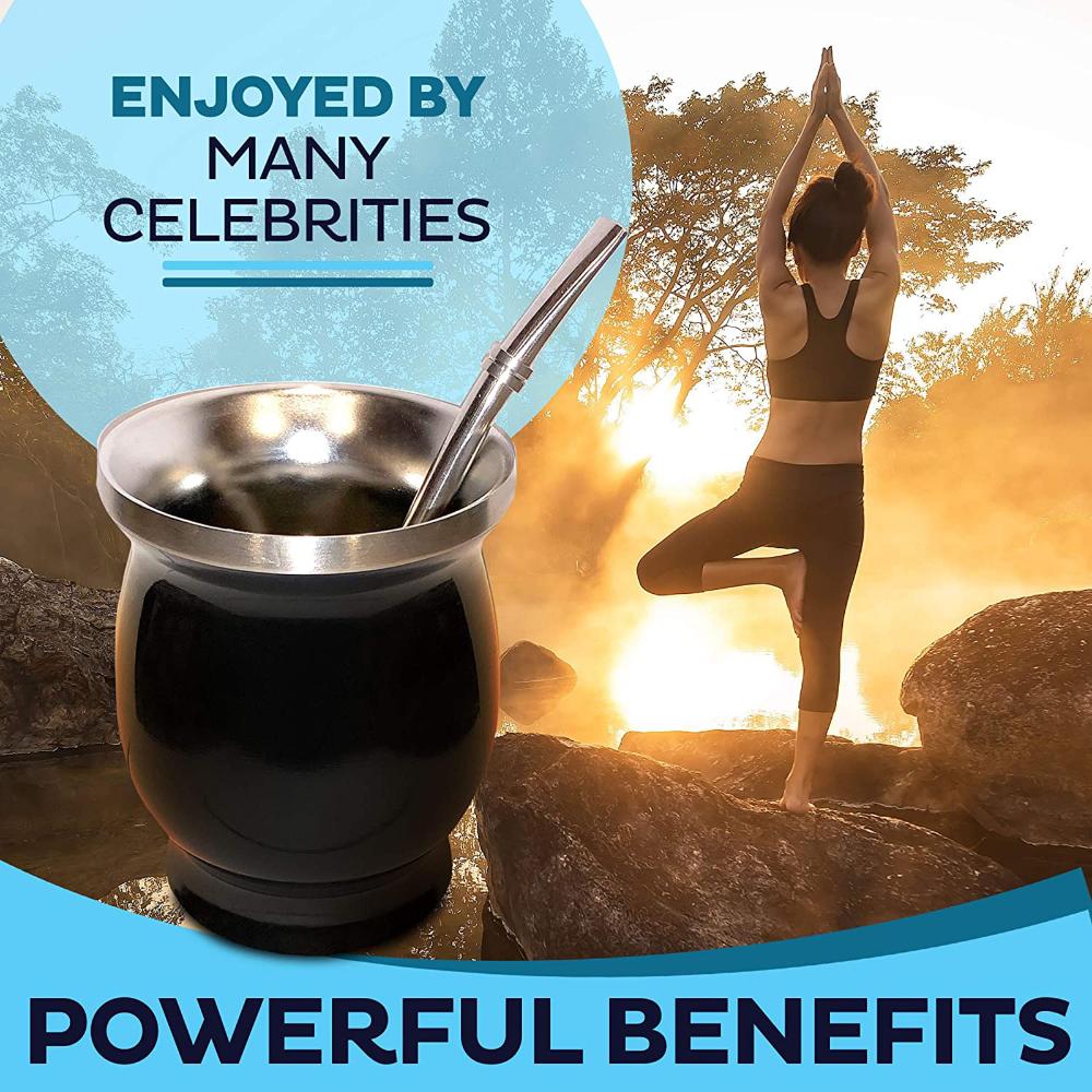 Clean Stainless Steel Double-Wall Mate Tea Cup Yerba Mate Cup Bombilla Straw Yerba Mate Gourd Set