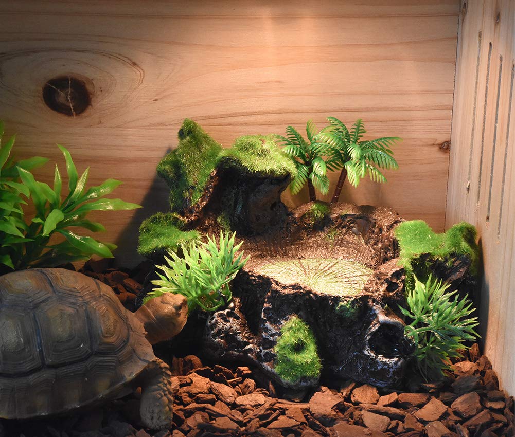 Кормление рептилий OMEM Кормление черепах Кормление амфибий Рис Имитация мха Разведение Принадлежности Тарелка, Тарелка, Контейнер, Посуда, Тарелка, Тарелка, Растение,