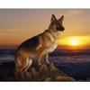 German Shepherd Diamond Painting Full Dog Diamond Embroidery of Rhinestones DIY Hobby Needlework Paint Art